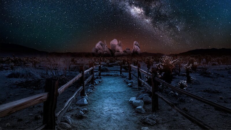 Desert Path under Stars