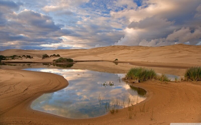 Desert Pond with Dunes — Blue