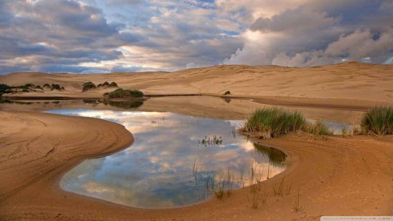 Desert Pond with Dunes