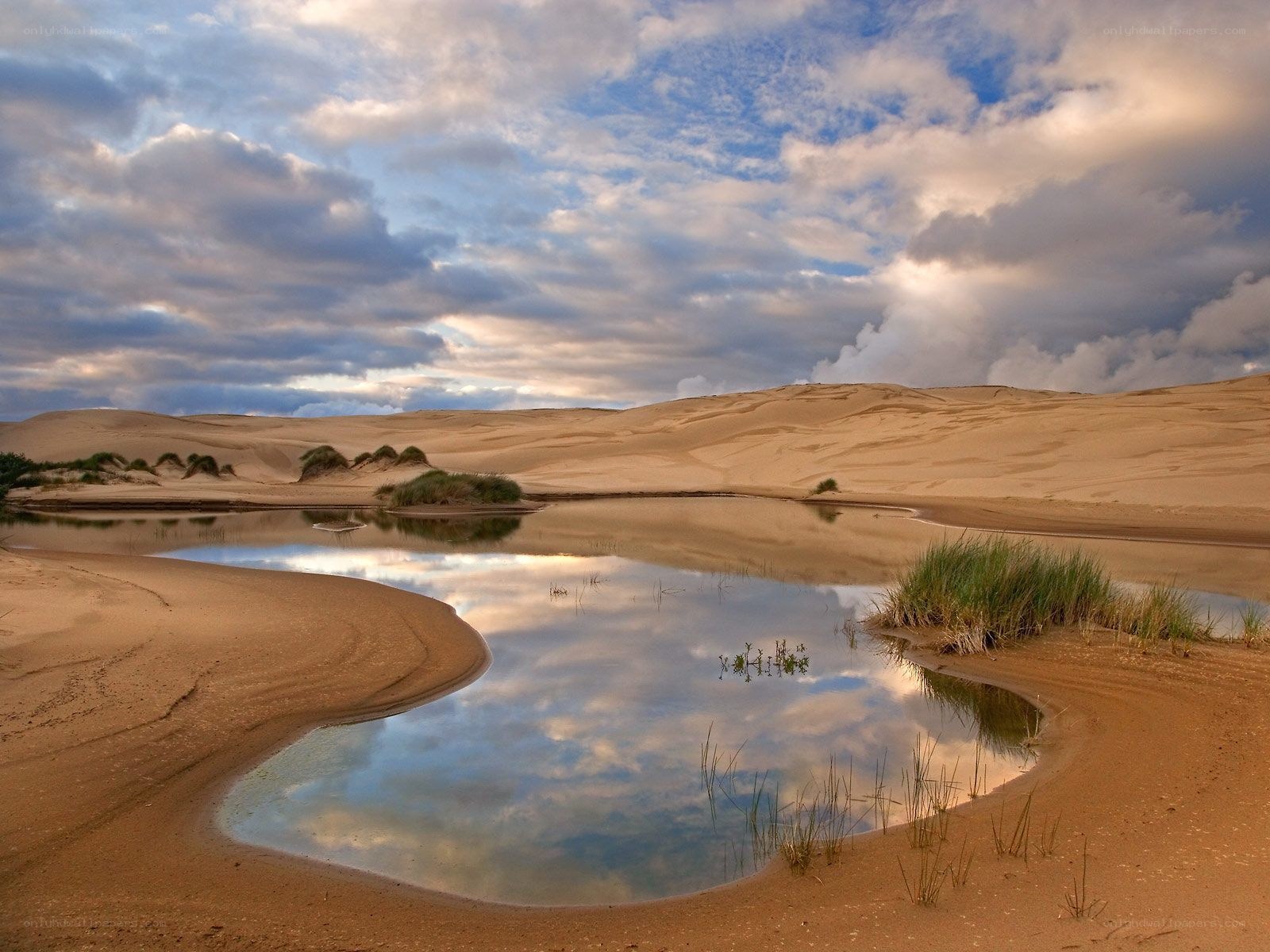 Desert pond with sand dunes
