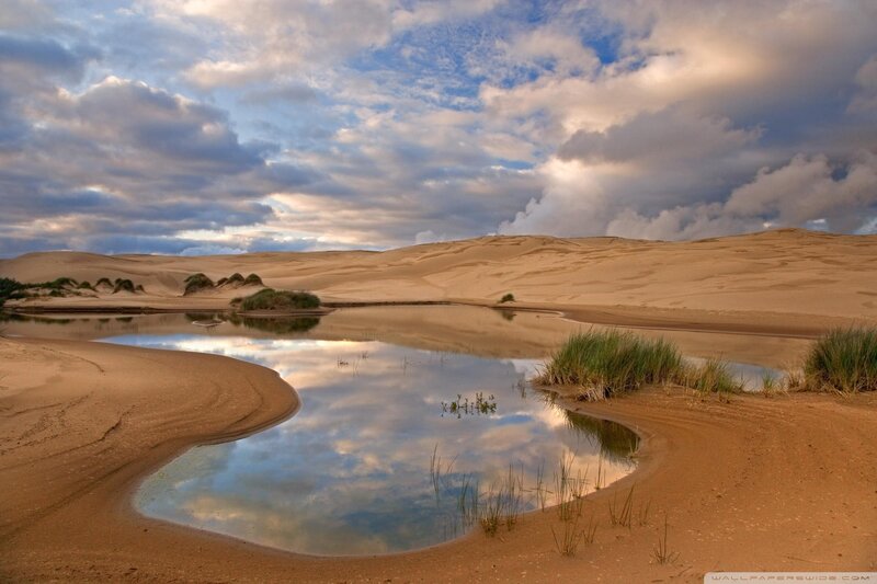 Desert Pond with Sand Dunes — Brown