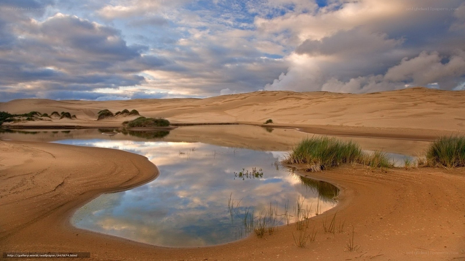 Desert pond with sand dunes