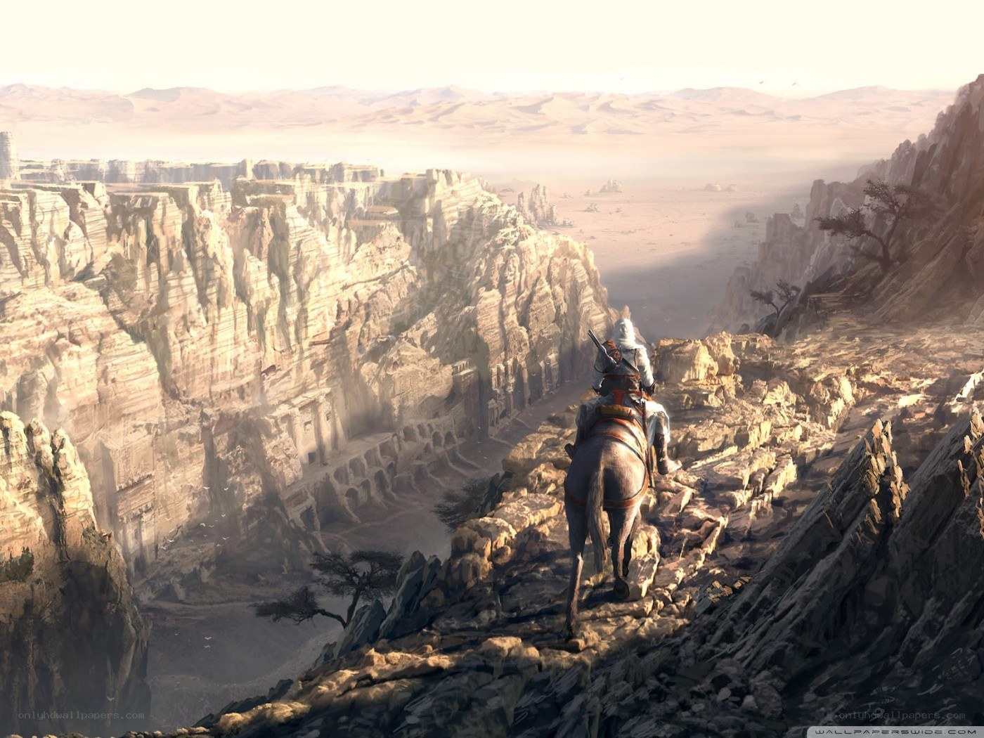 Desert rider on a cliff