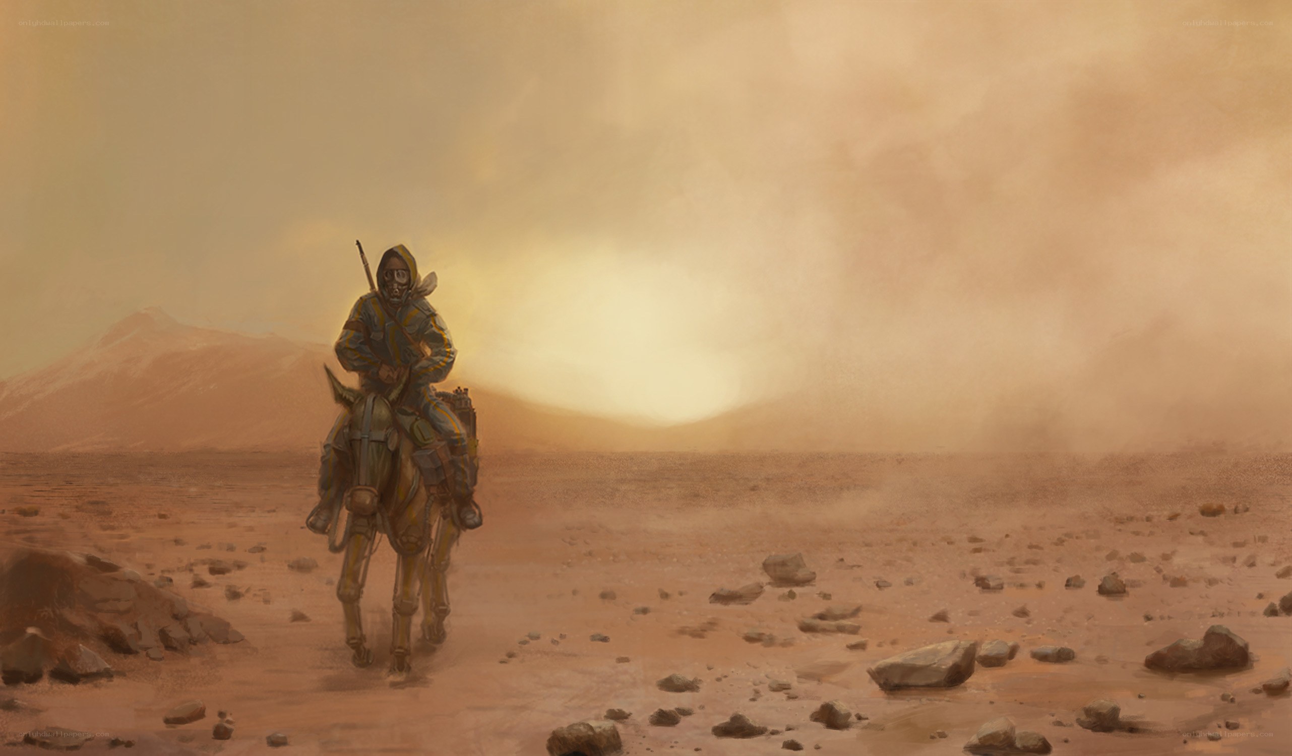 Desert rider on a sandstorm