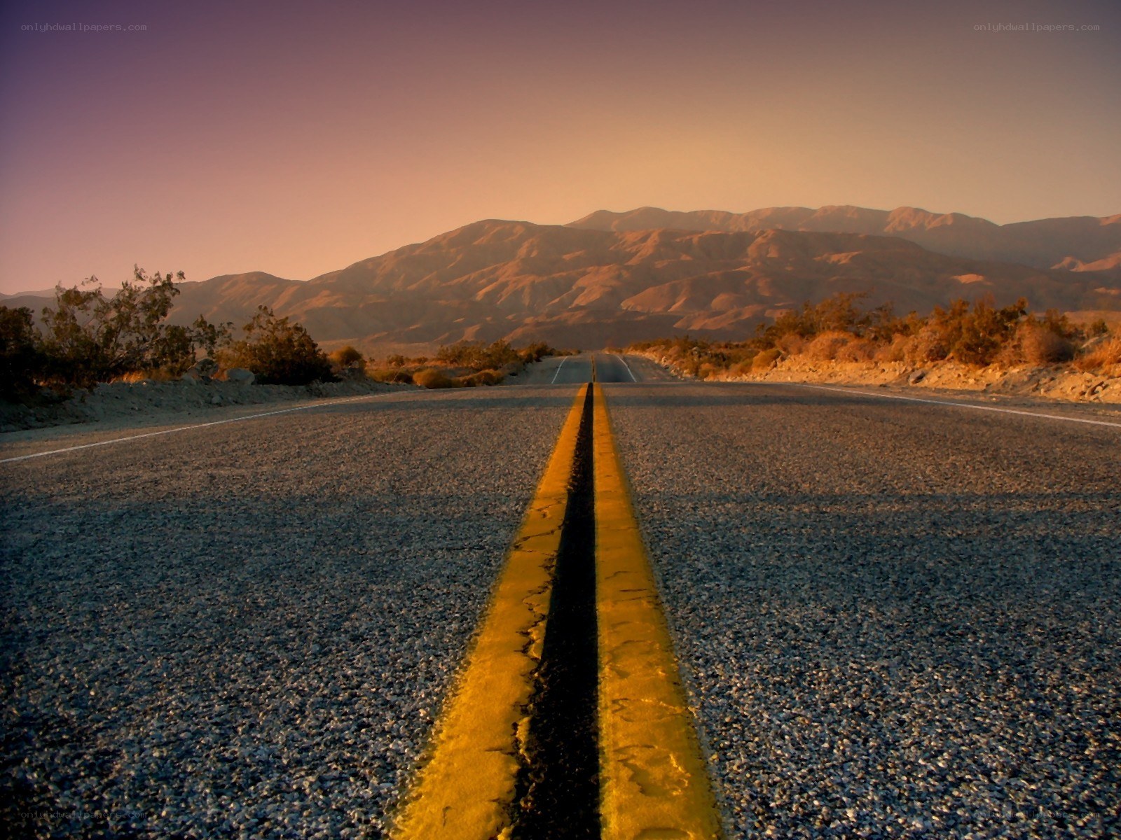 Desert road at sunset