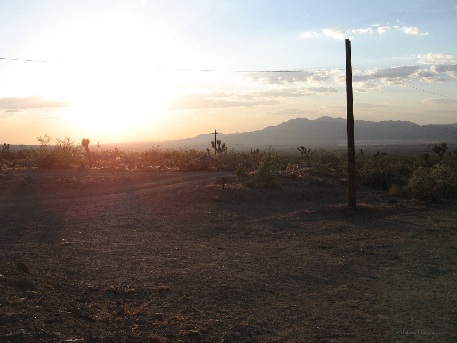 Desert road at sunset