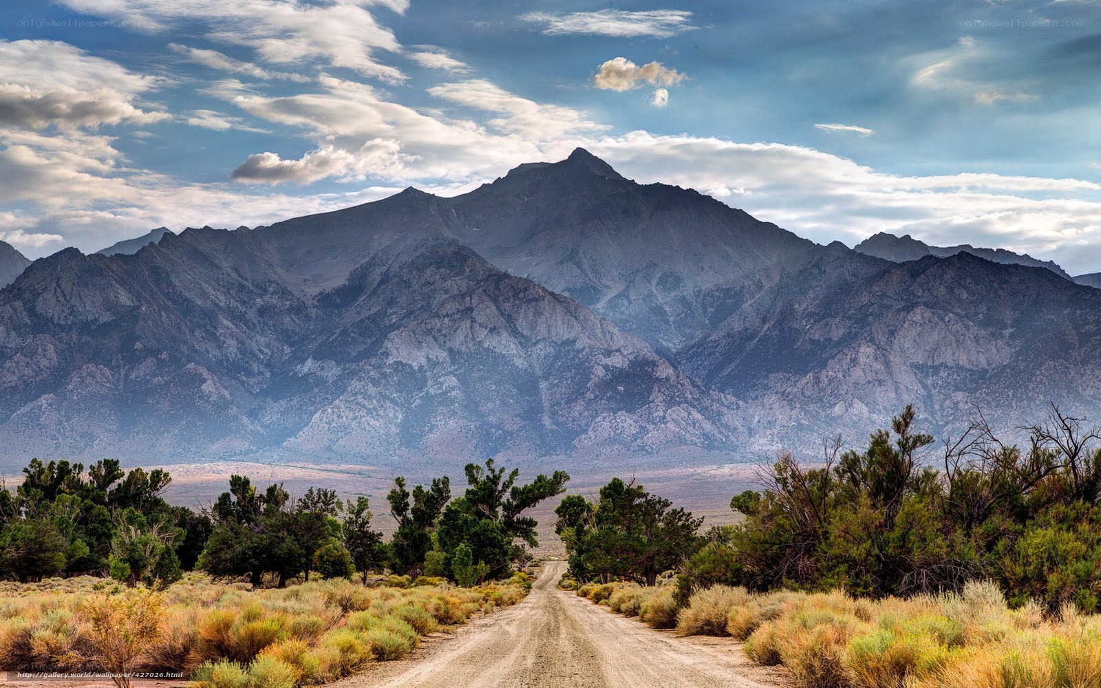 Desert road leading to mountains