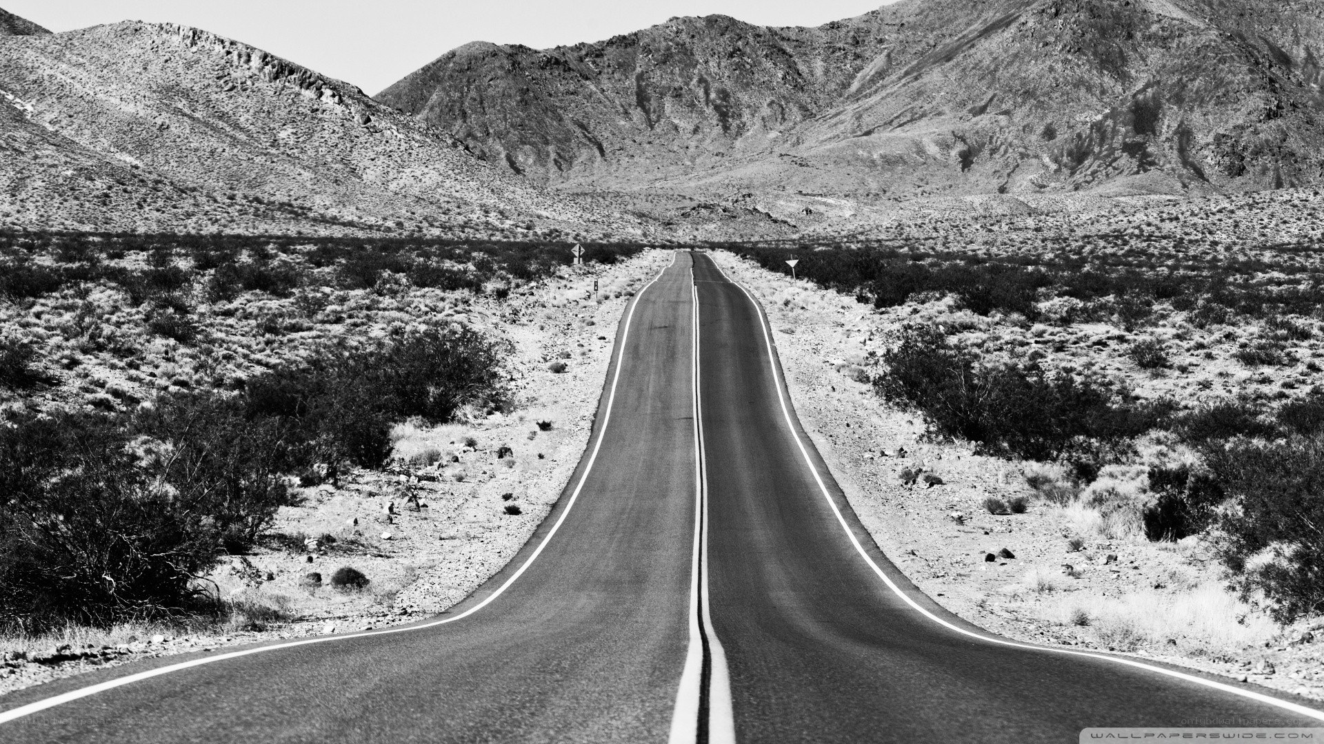 Desert road stretching into mountains