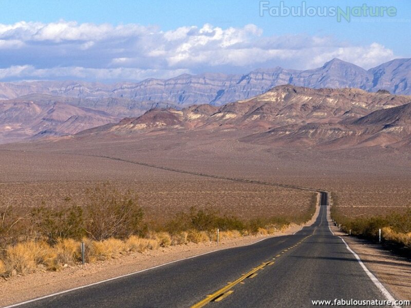 Desert Road Stretching