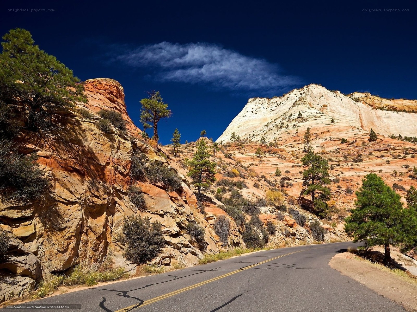 Desert road through red rock canyon