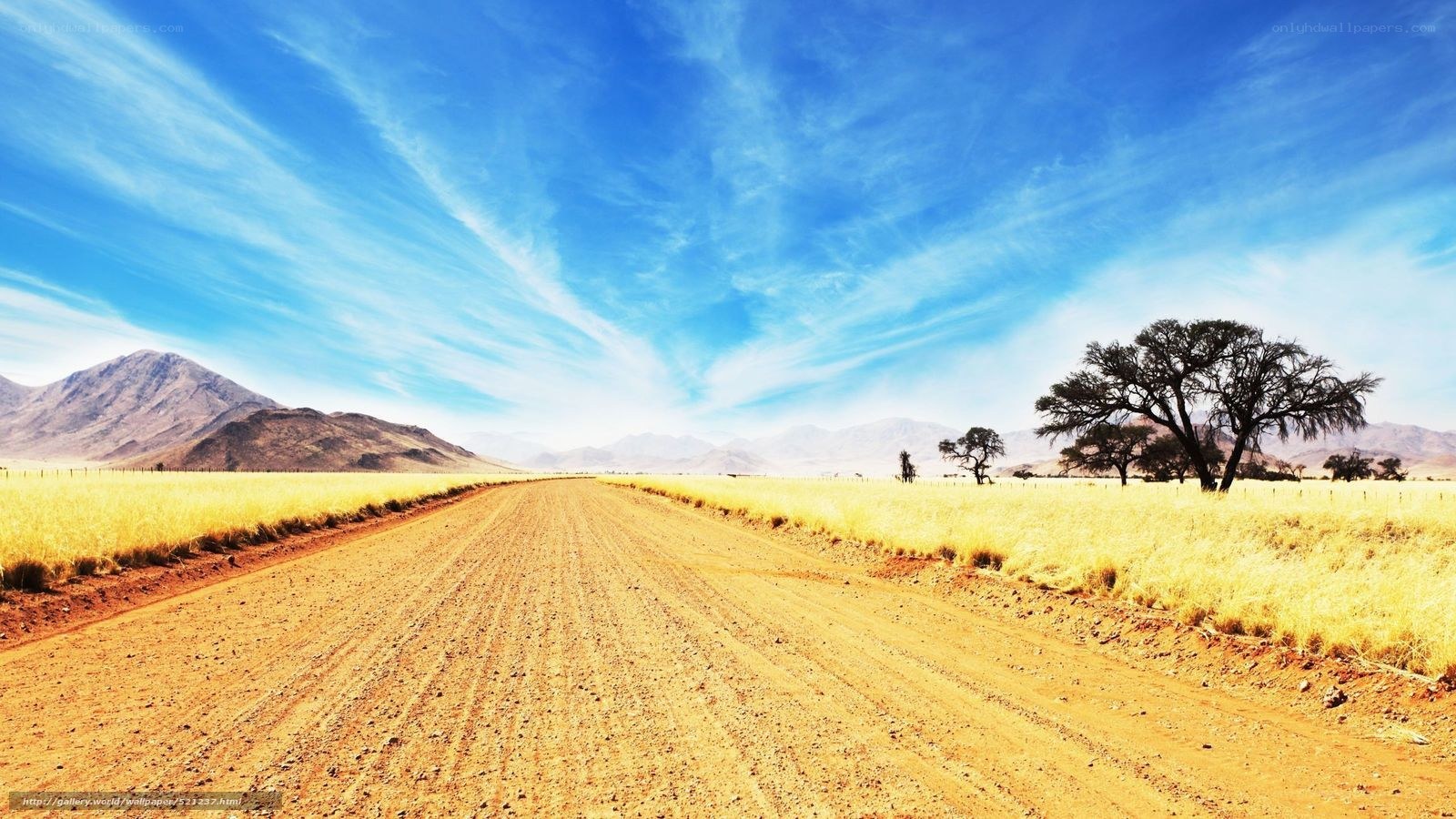 Desert road under blue sky