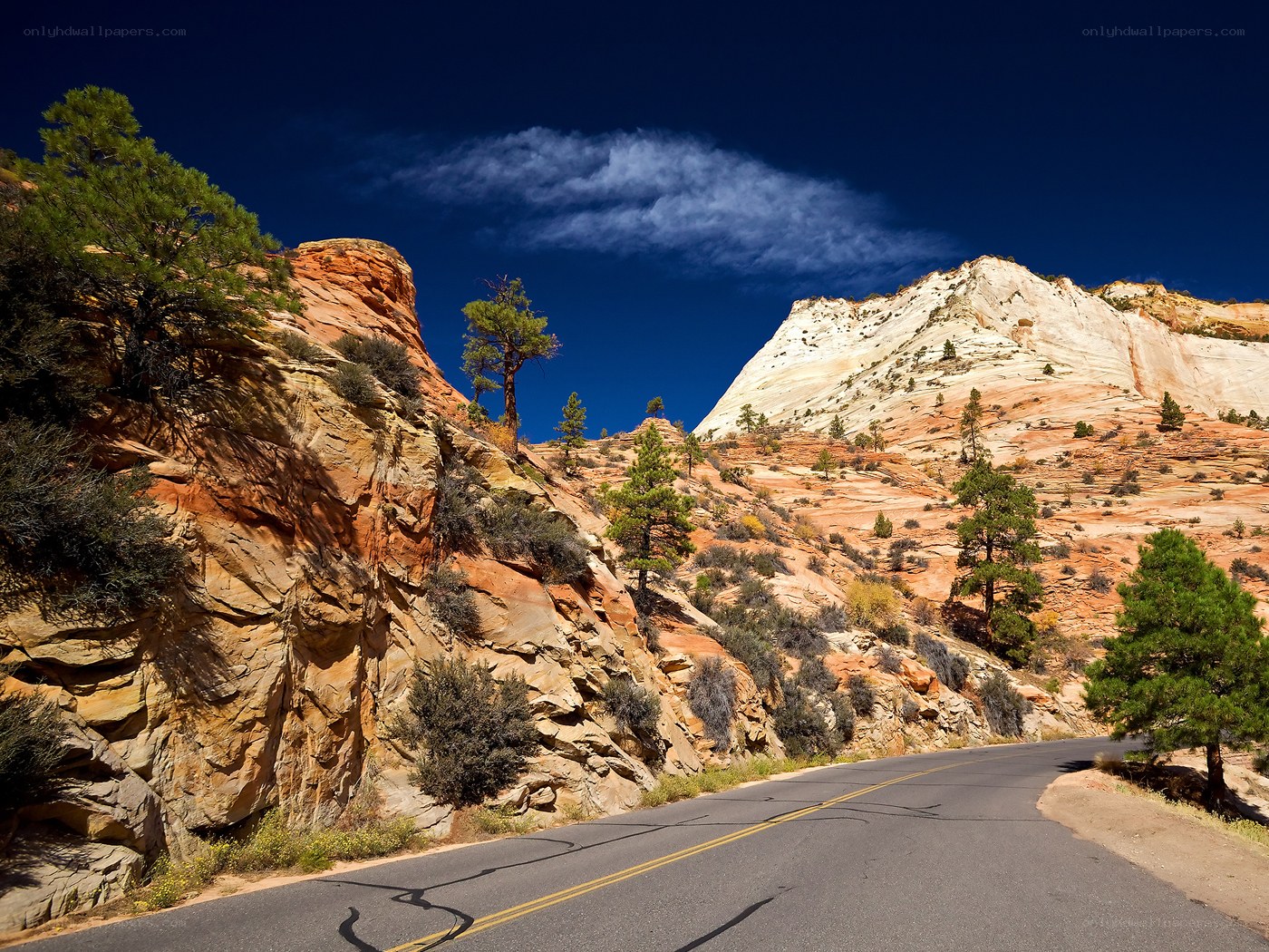 Desert road winding through red rock