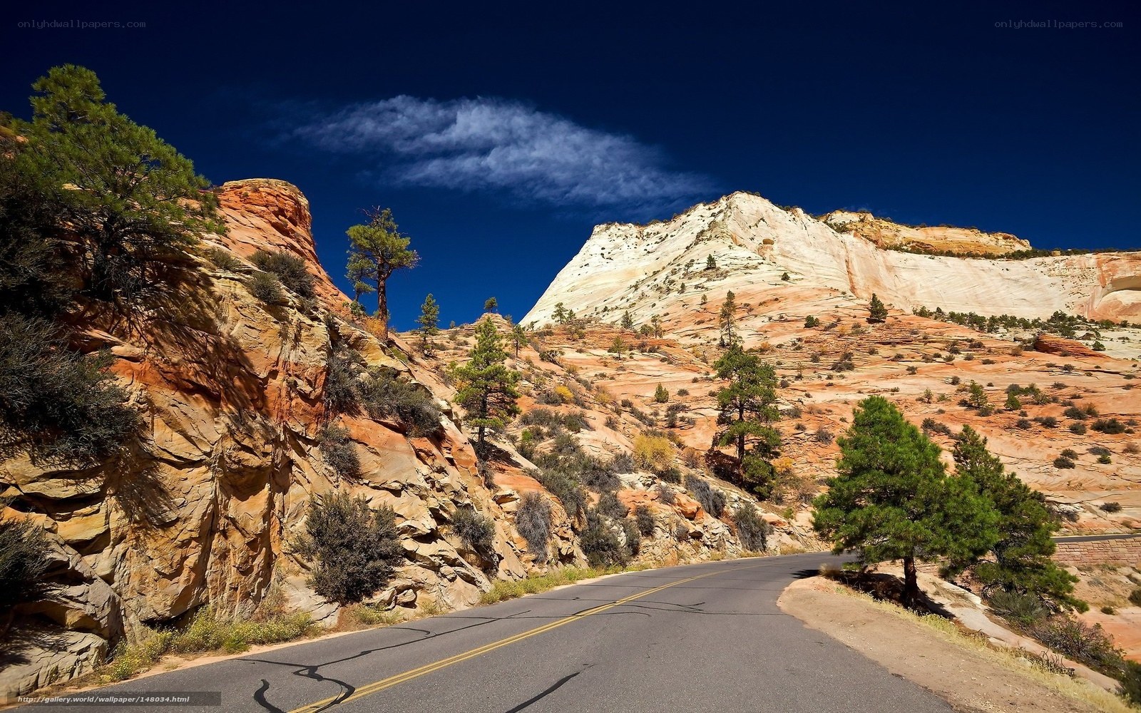 Desert road winding through red rock