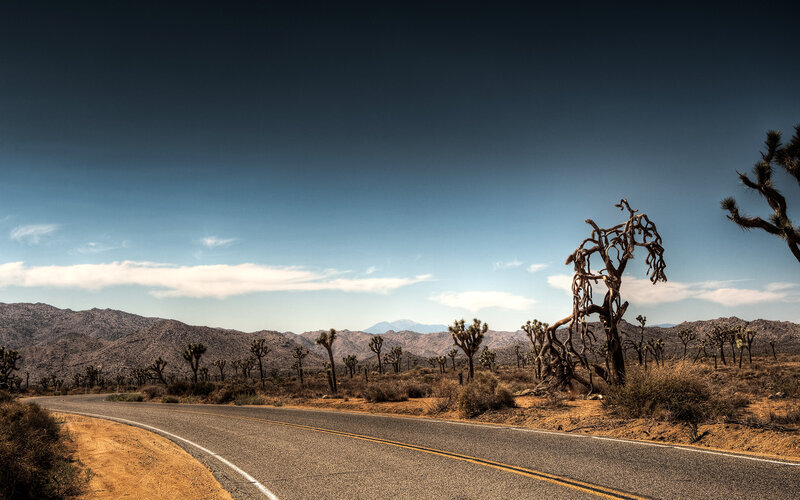 Desert Road with Joshua Trees — Blue, Dramatic
