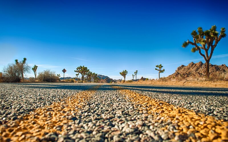 Desert Road with Joshua Trees — Blue, Serene, Afternoon