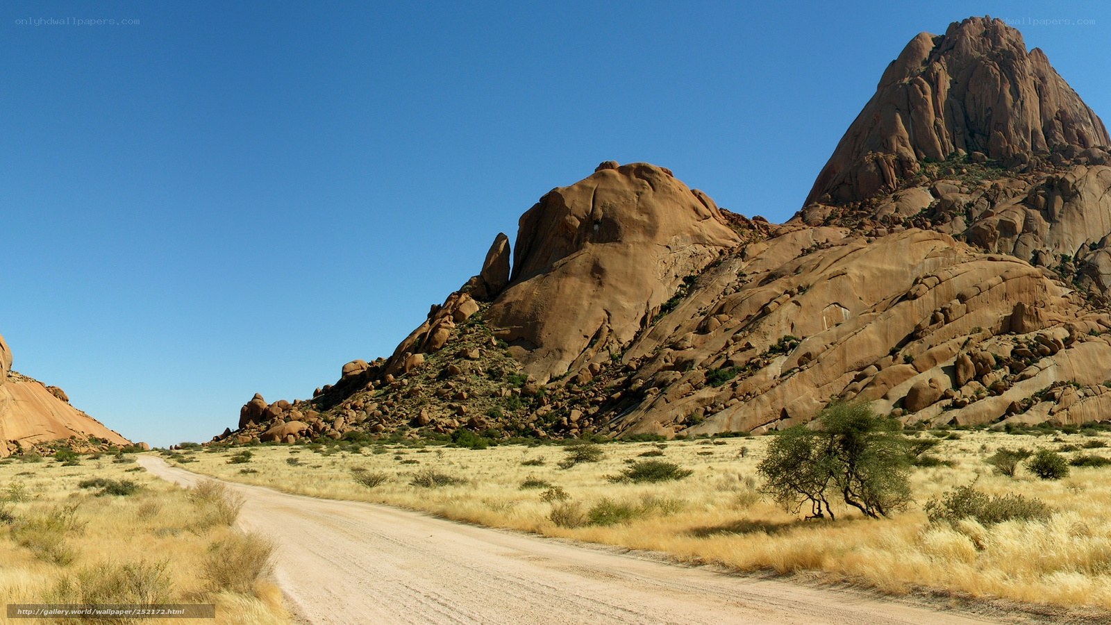 Desert road with rock formations