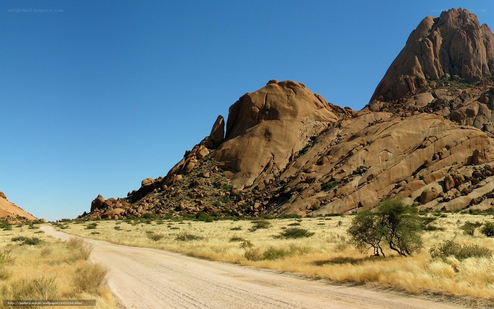 Desert road with rock formations