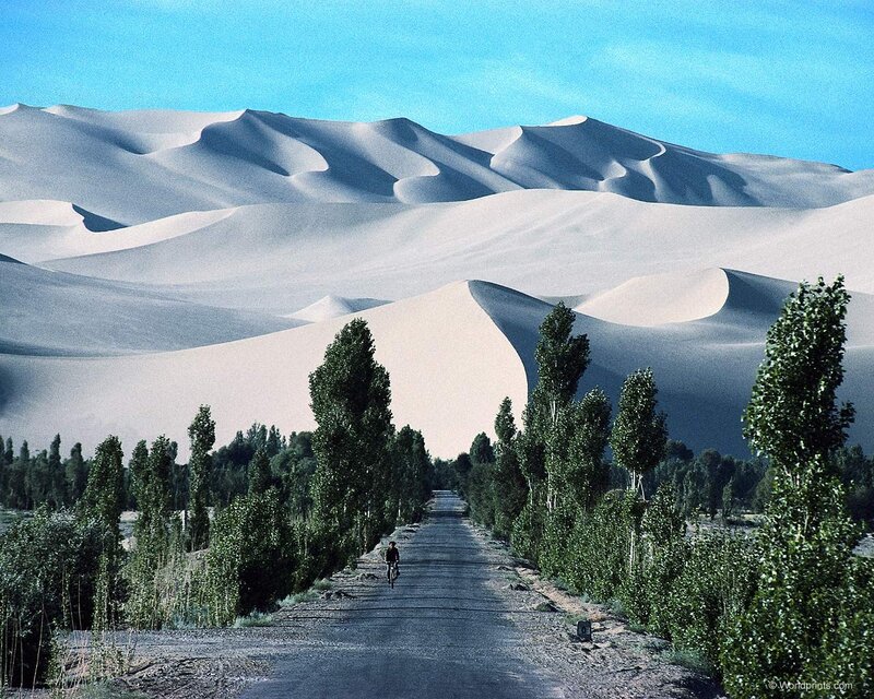 Desert road with sand dunes