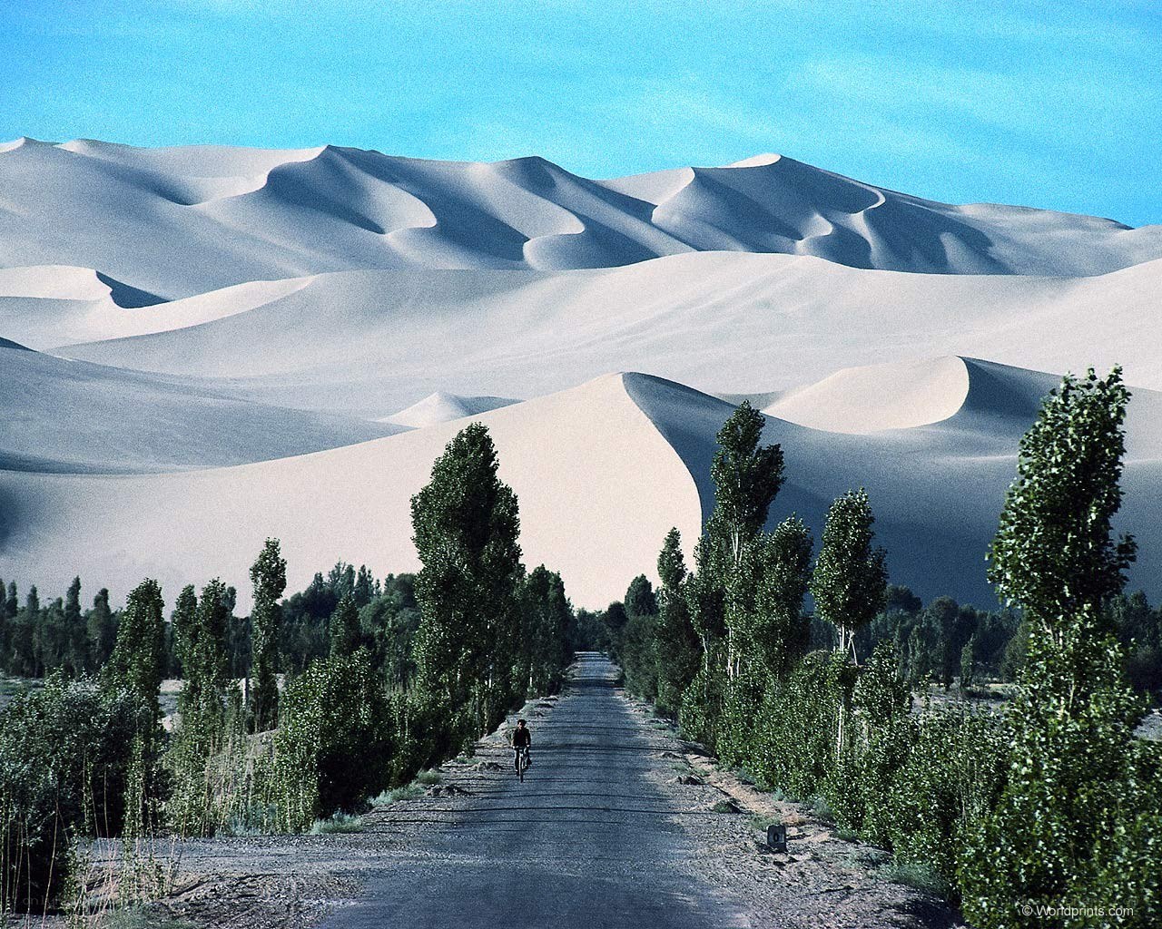Desert road with sand dunes