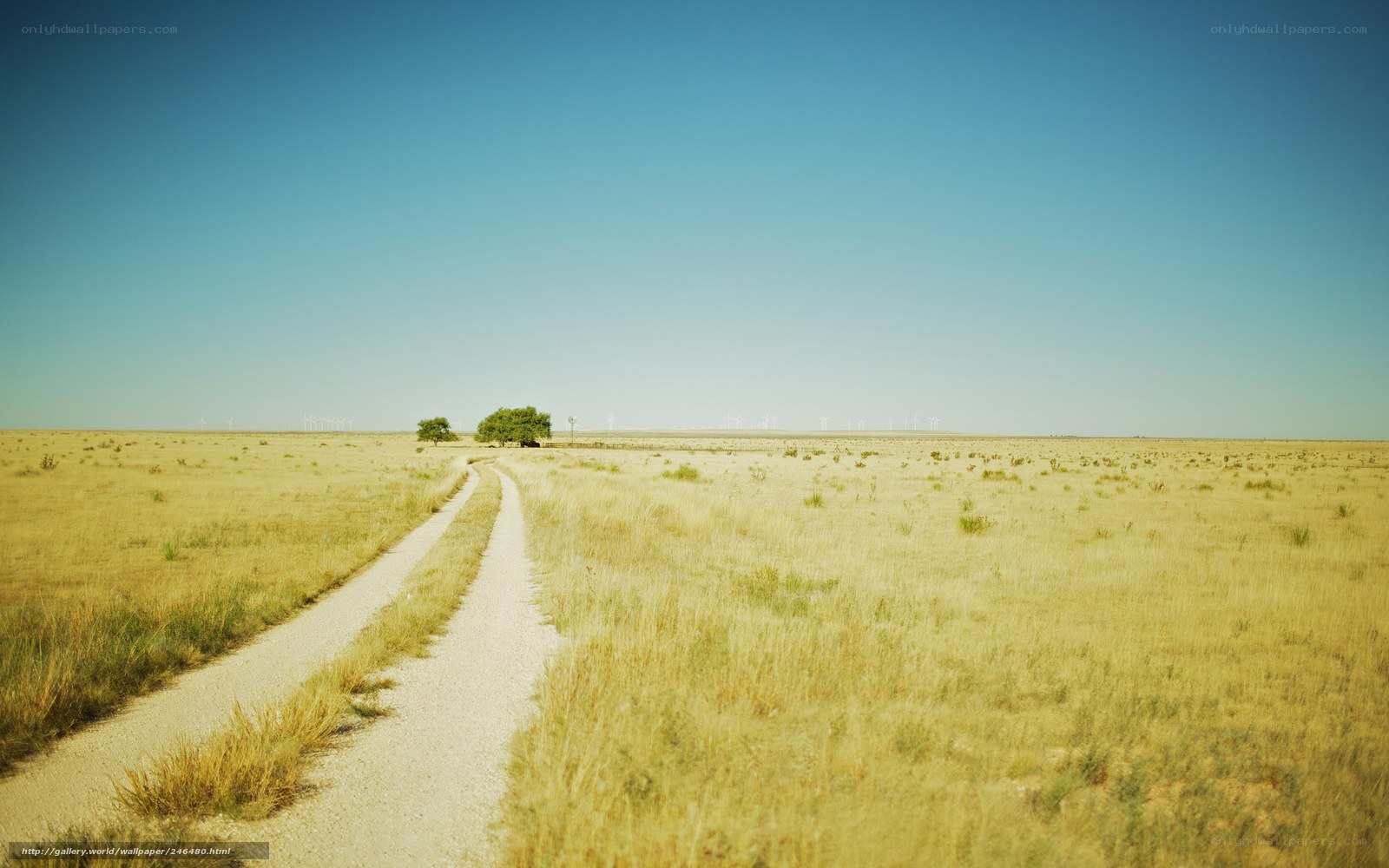 Desert road with wind turbines