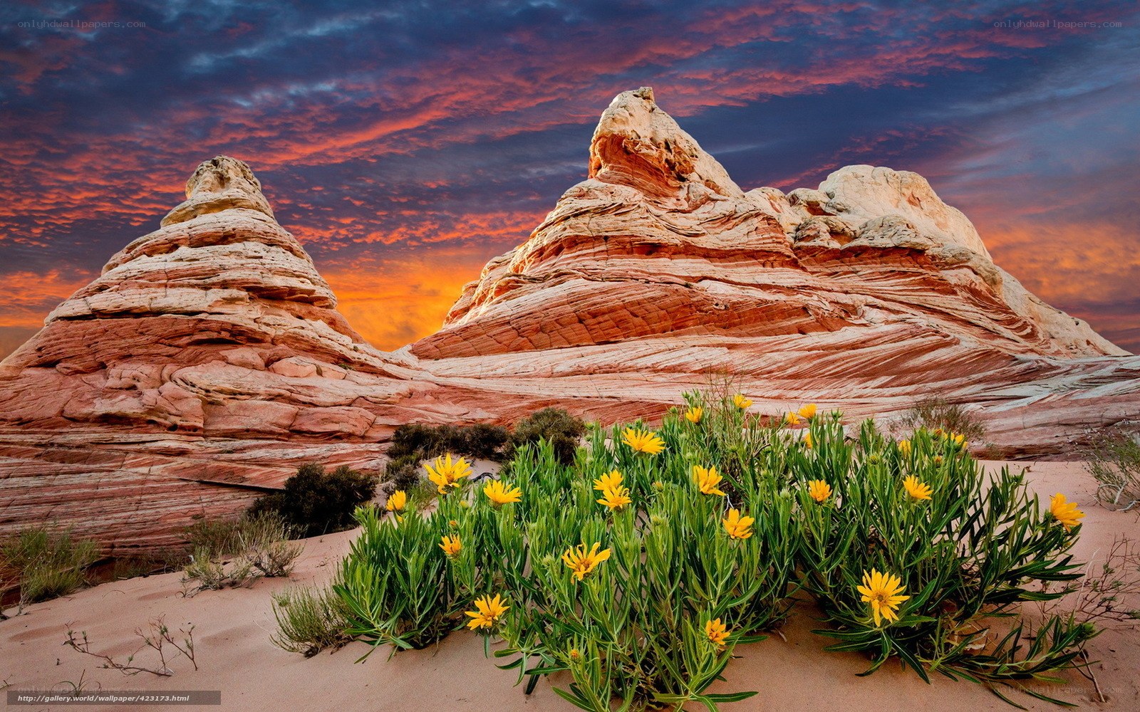 Desert rock formations at sunset