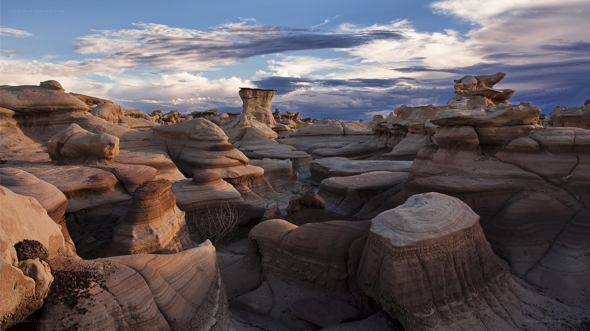 Desert rock formations at sunset