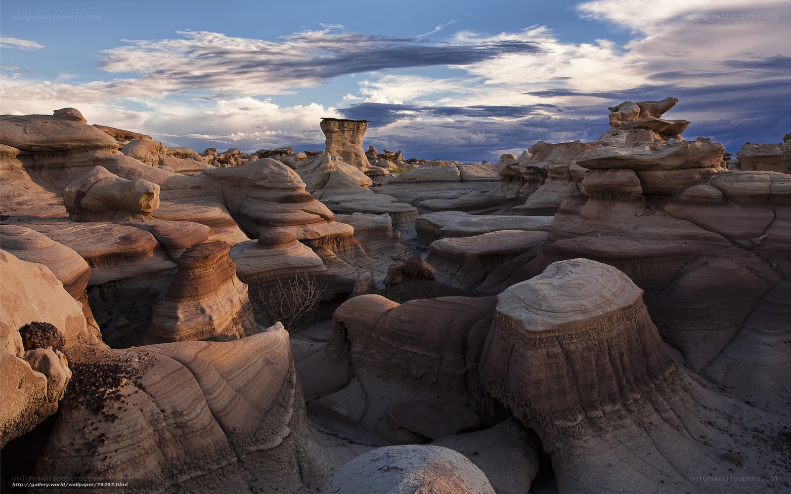 Desert rock formations at sunset
