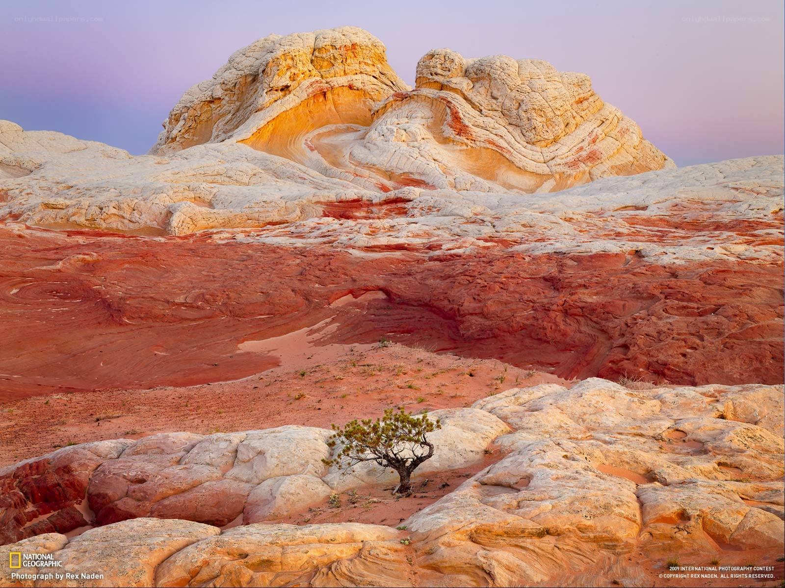 Desert rock formations at sunset