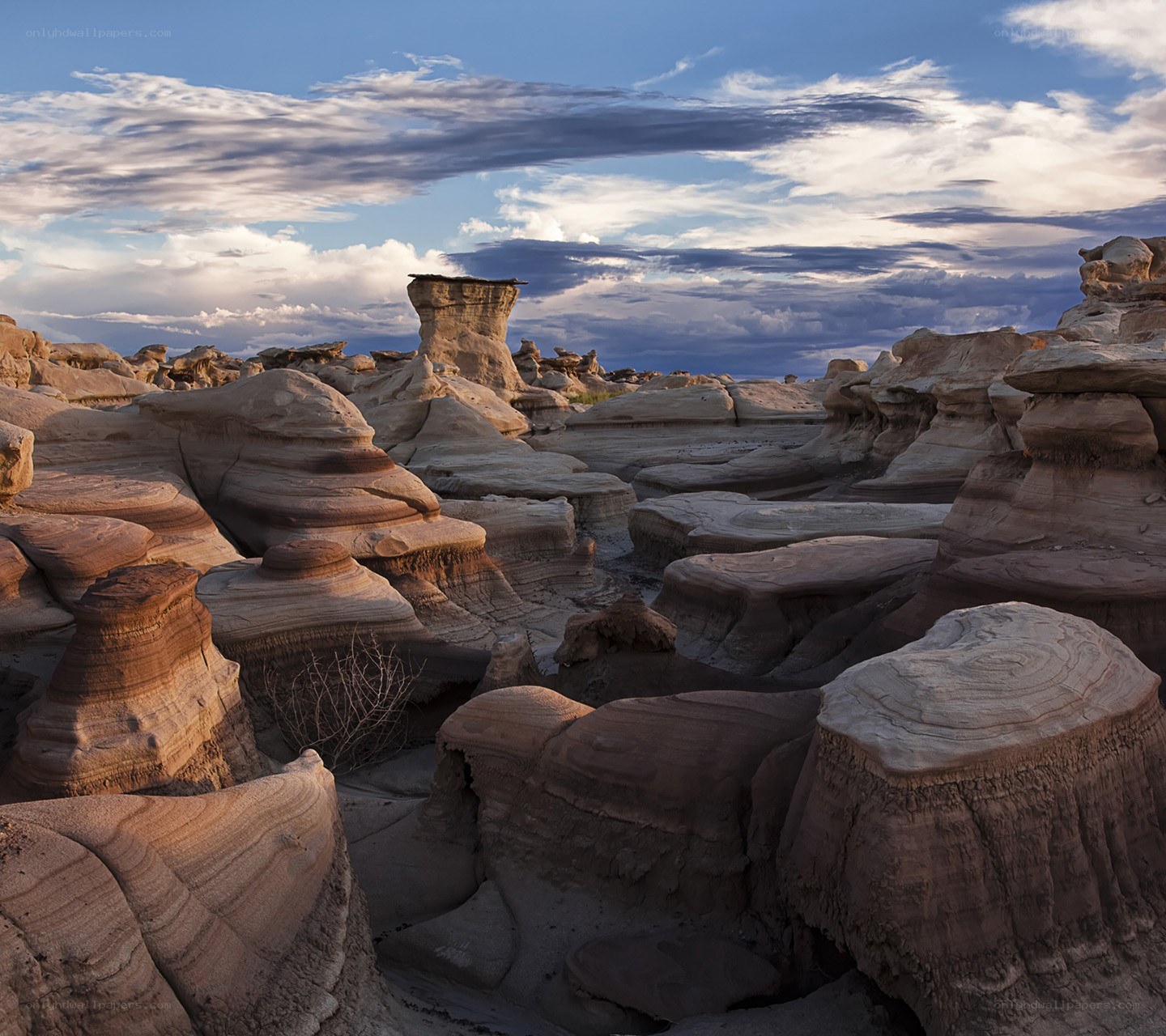 Desert rock formations at sunset
