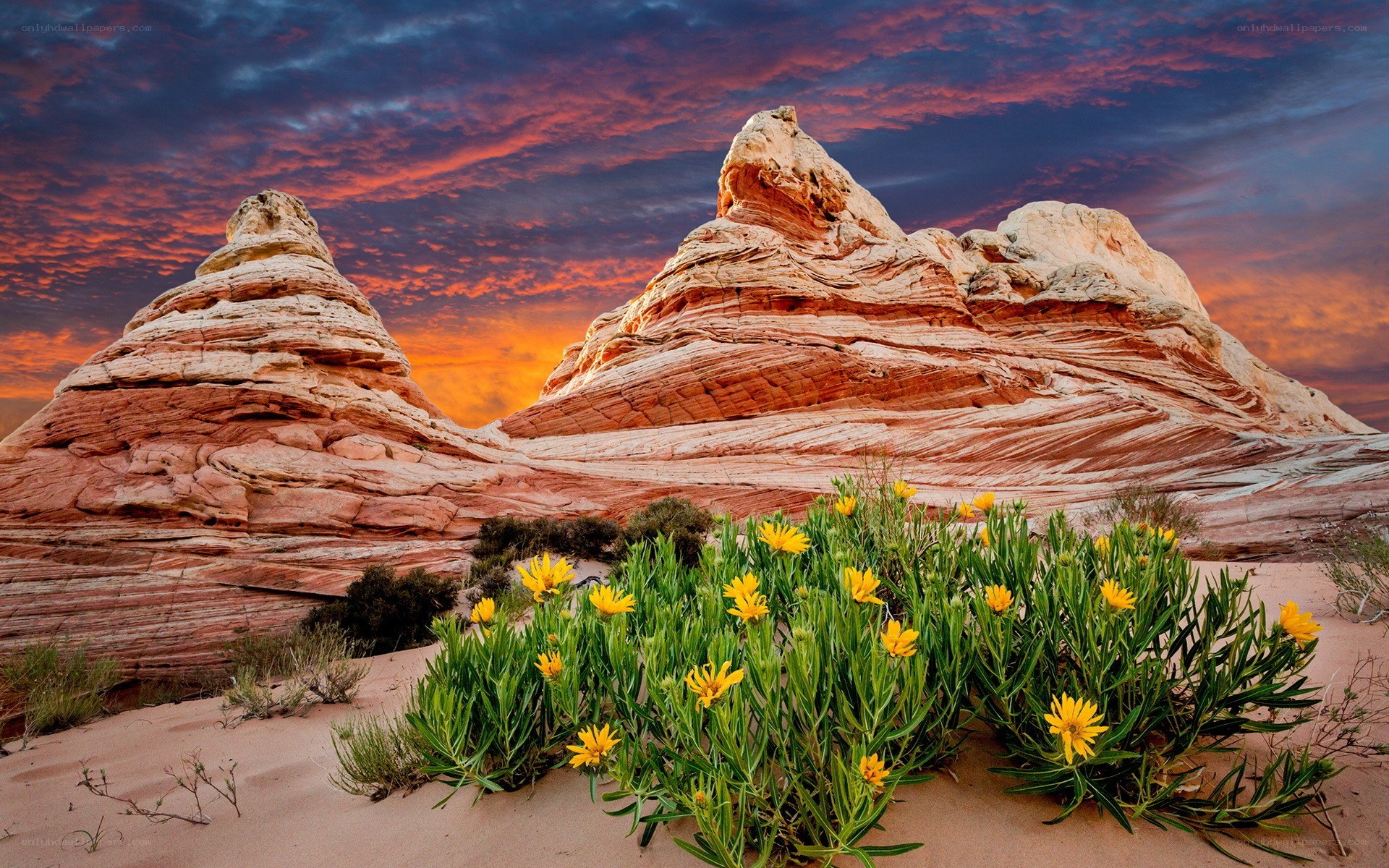 Desert rock formations at sunset