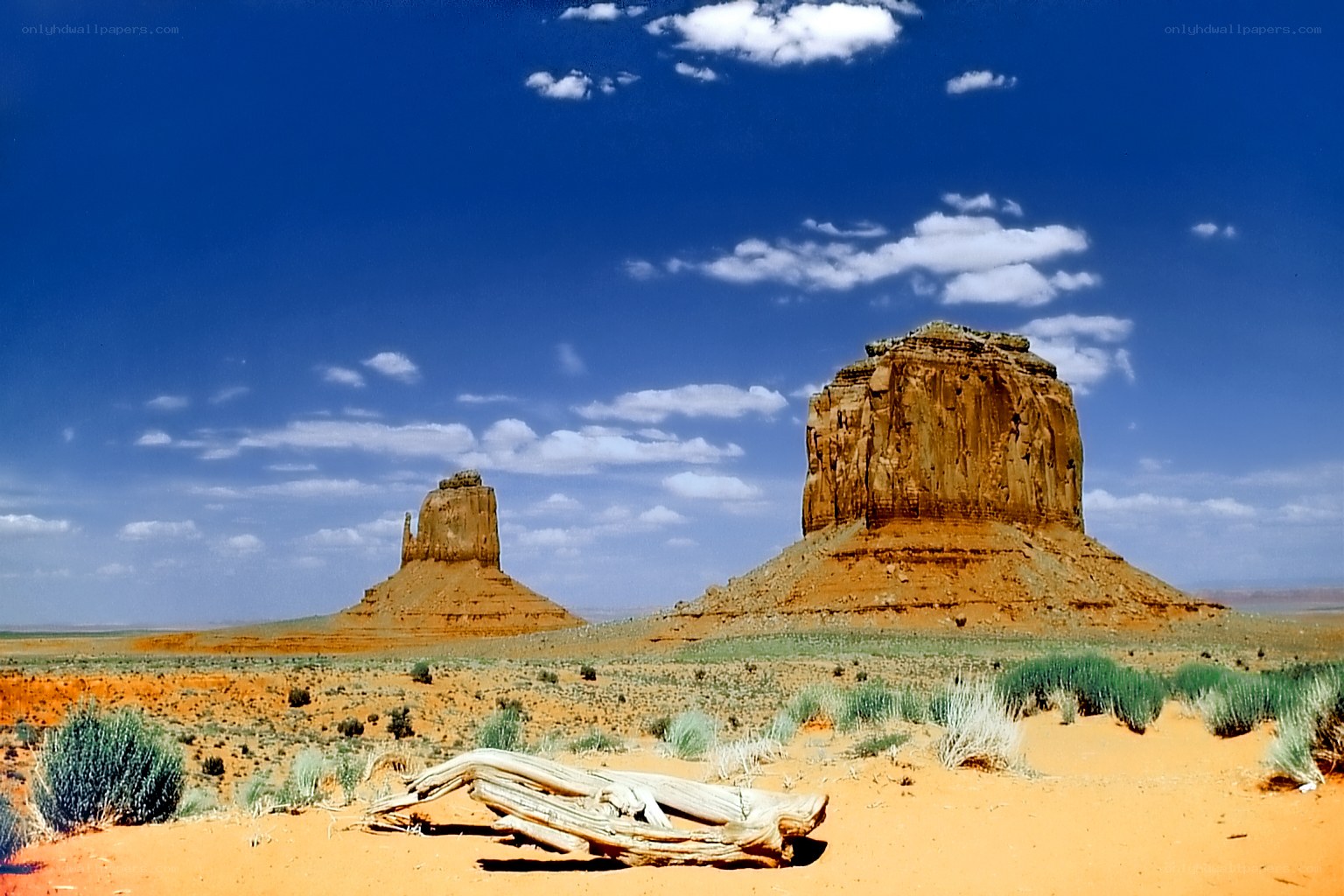 Desert rock formations under blue sky