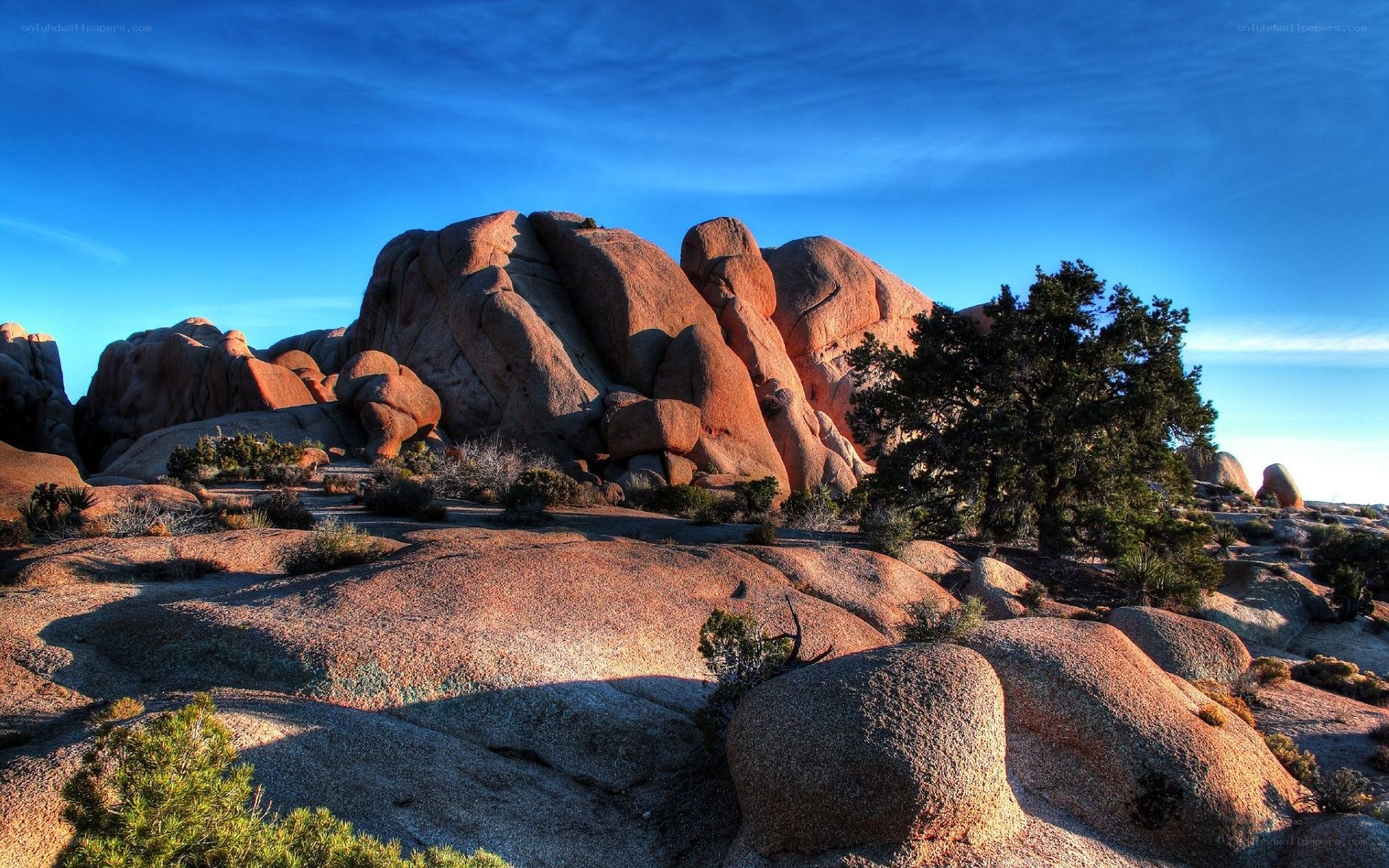Desert rock formations under blue sky