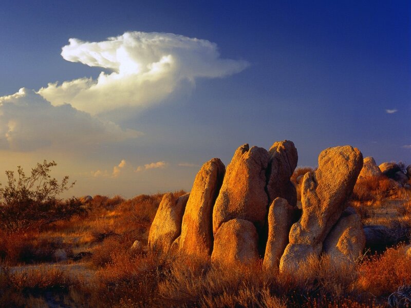 Desert rocks at sunset