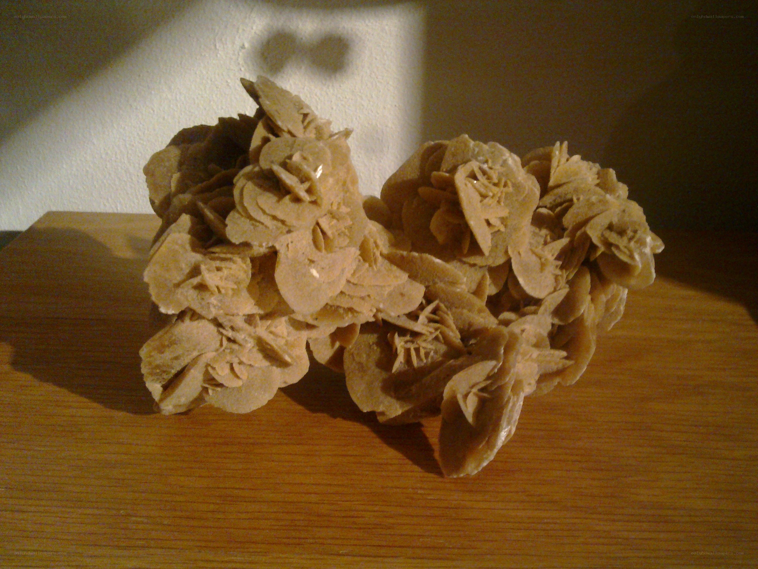 Desert rose mineral specimen