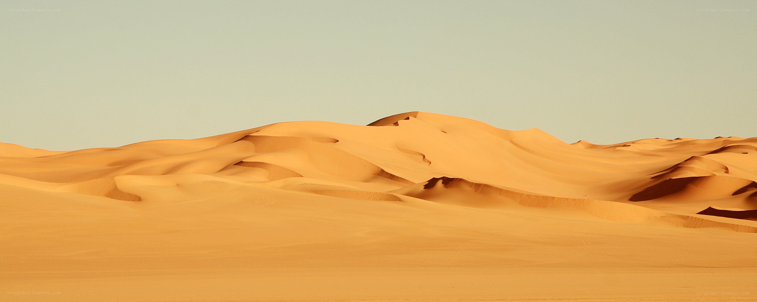 Desert sand dunes at sunset