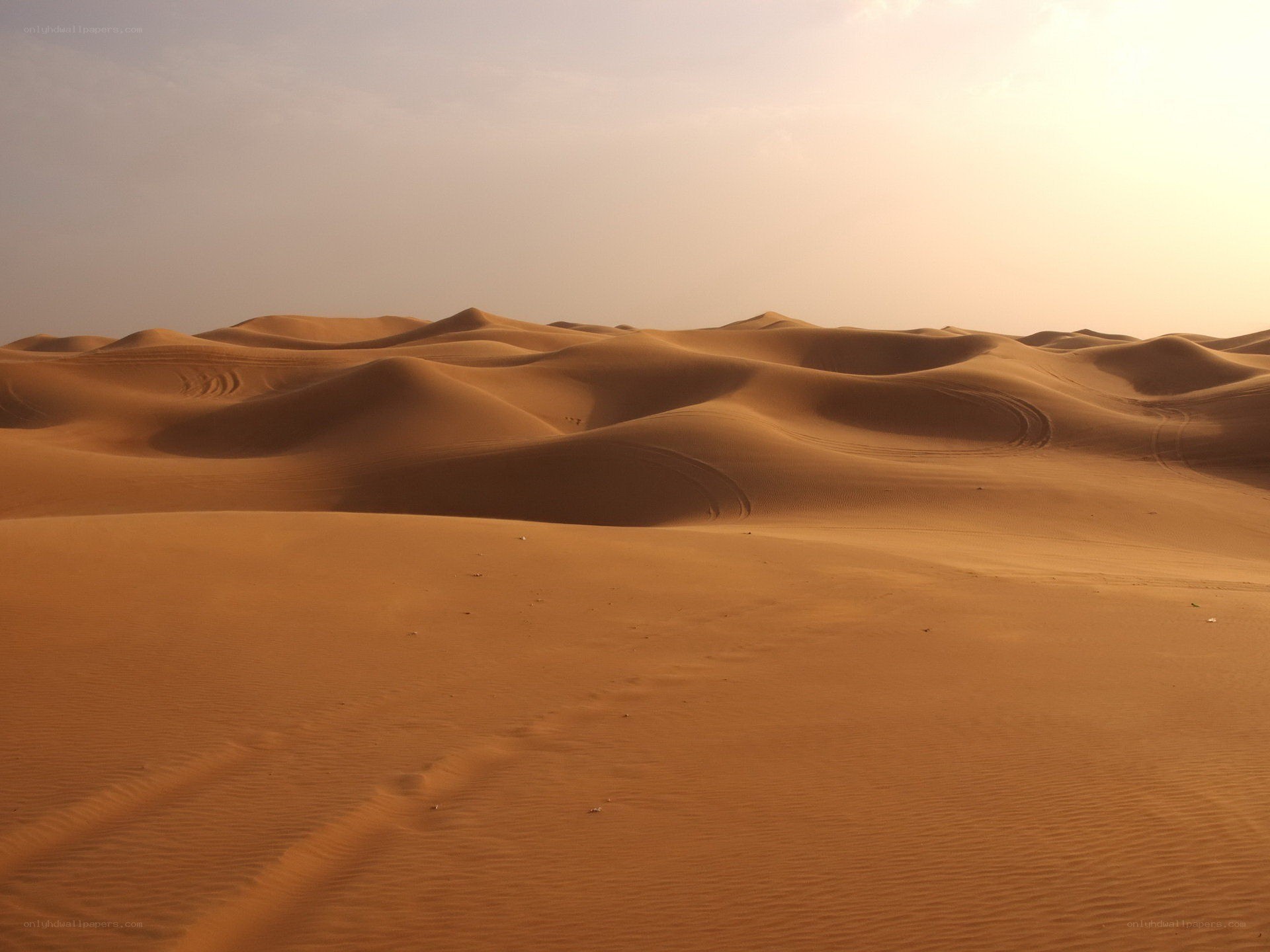 Desert sand dunes at sunset