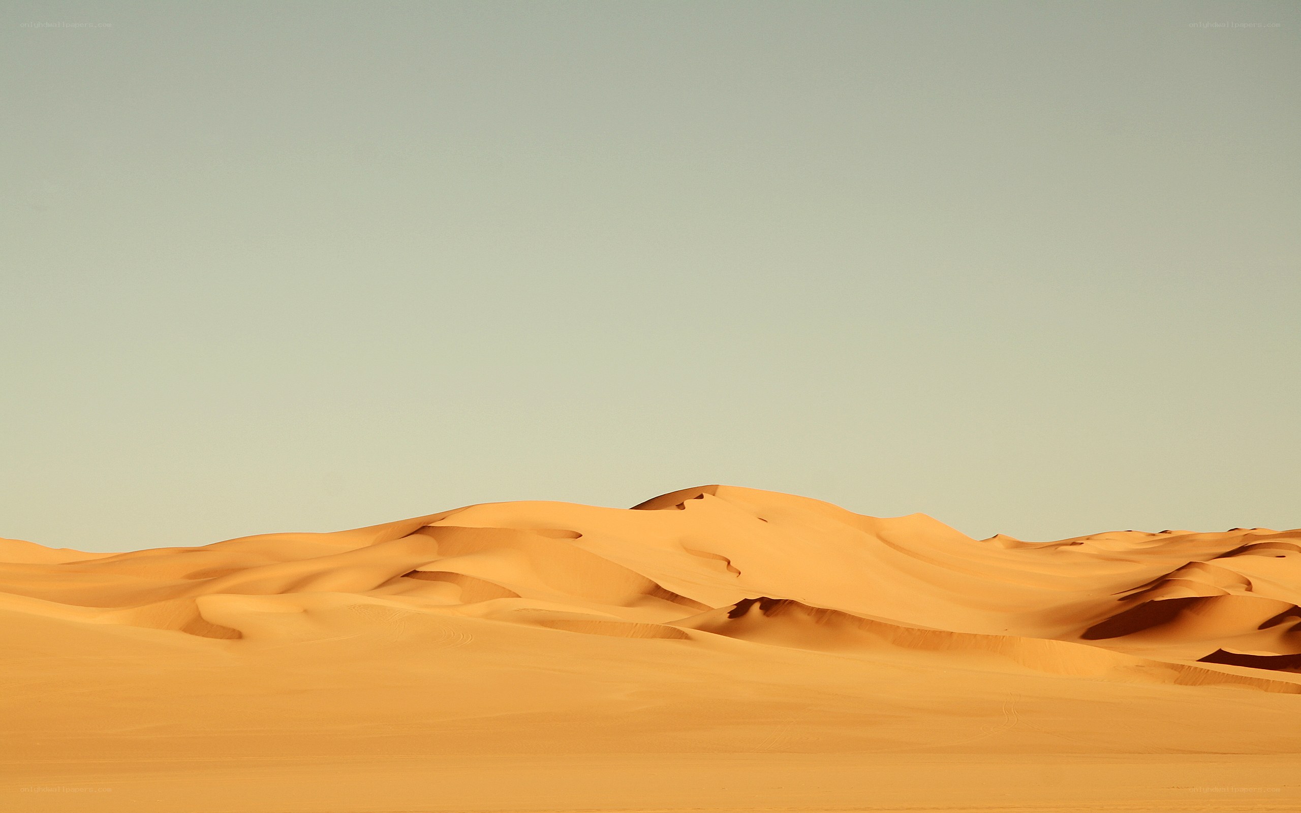 Desert sand dunes at sunset