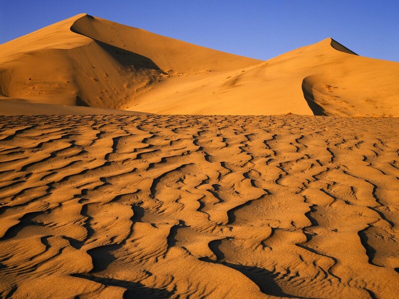 Desert sand dunes at sunset