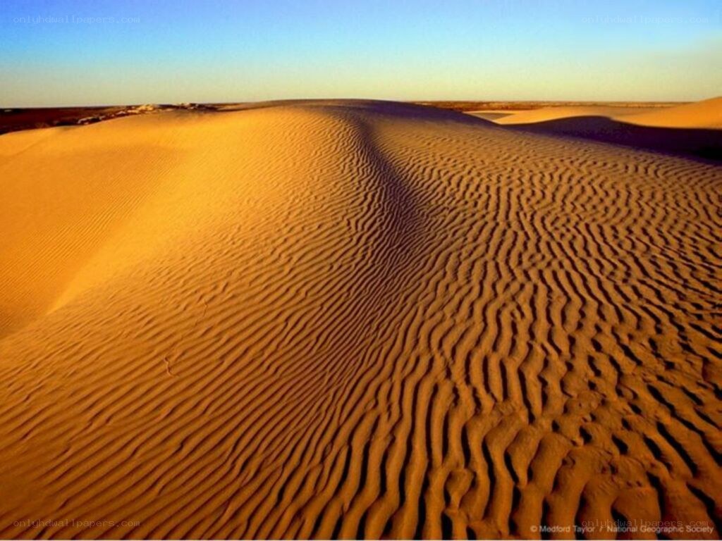 Desert sand dunes at sunset