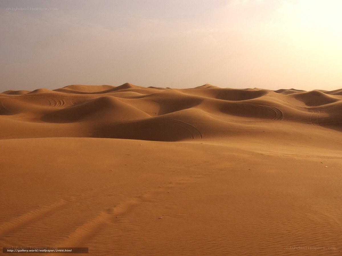 Desert sand dunes at sunset
