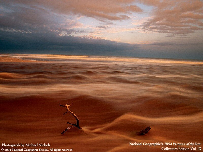 Desert Sand Dunes — Brown, Dramatic