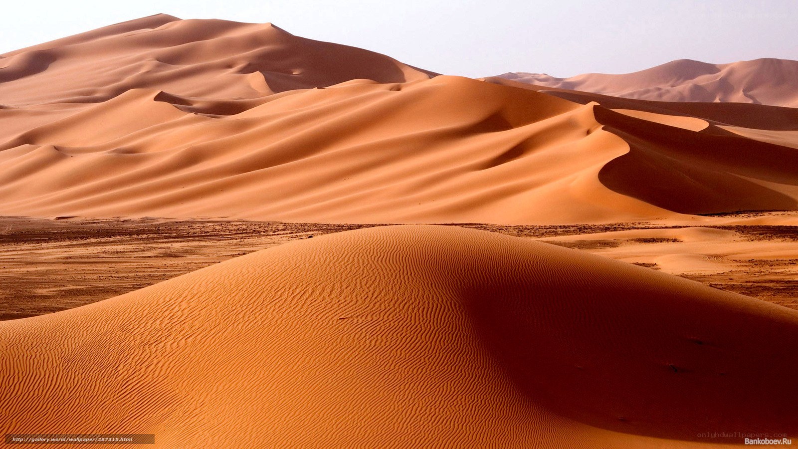 Desert sand dunes landscape