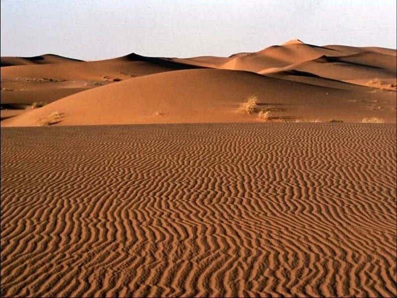 Desert sand dunes landscape