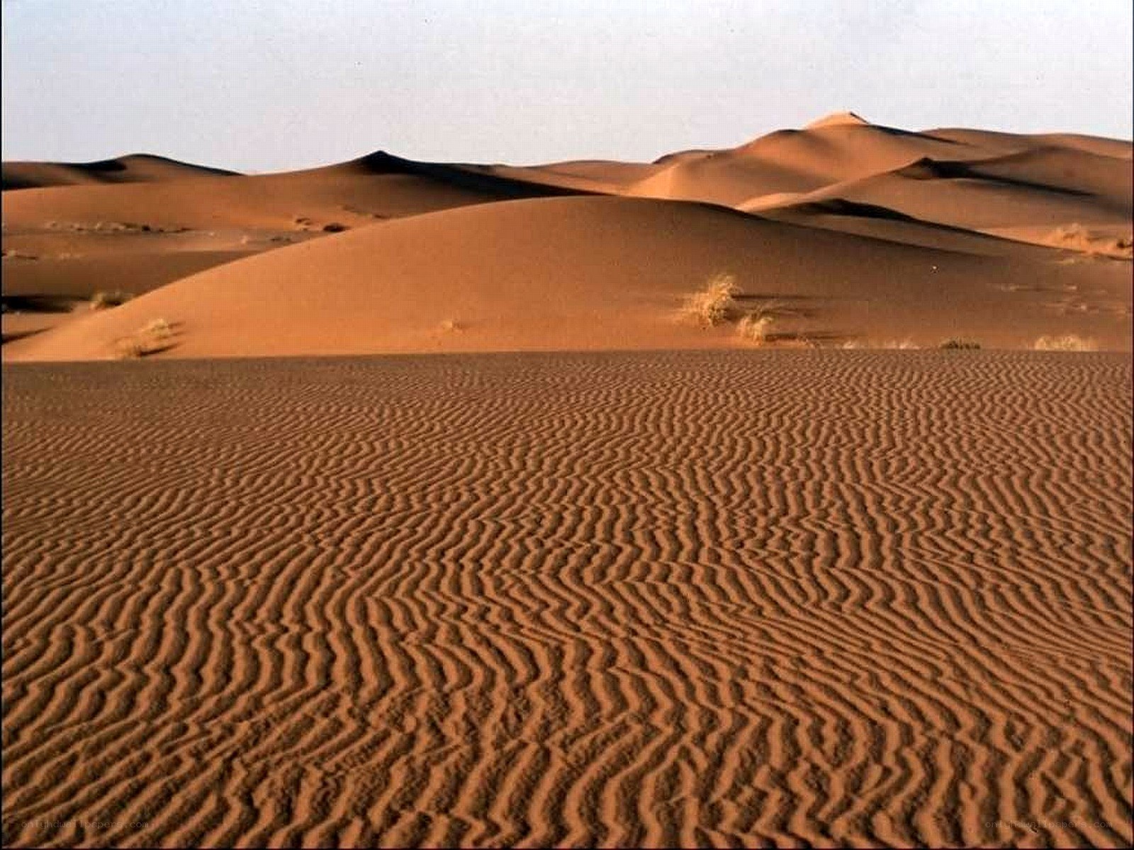 Desert sand dunes landscape