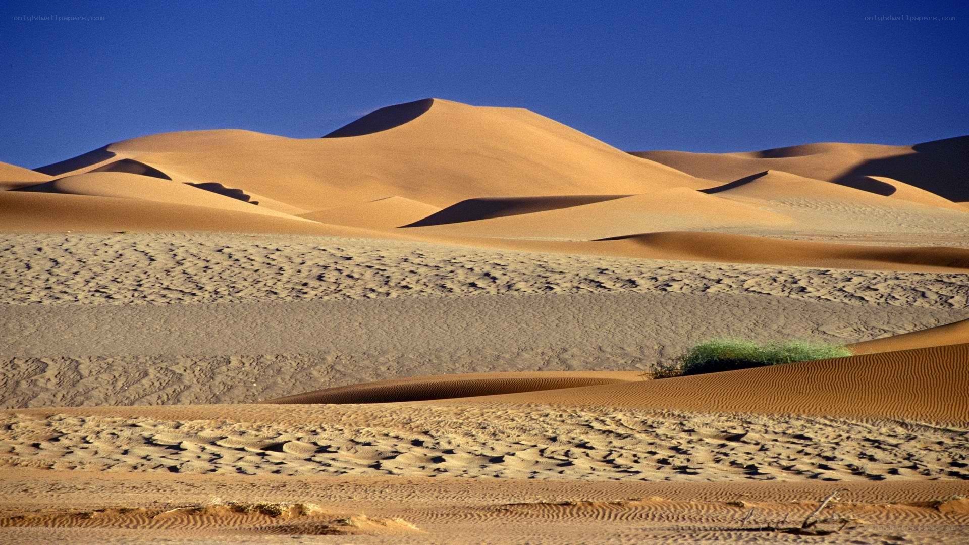 Desert sand dunes under blue sky