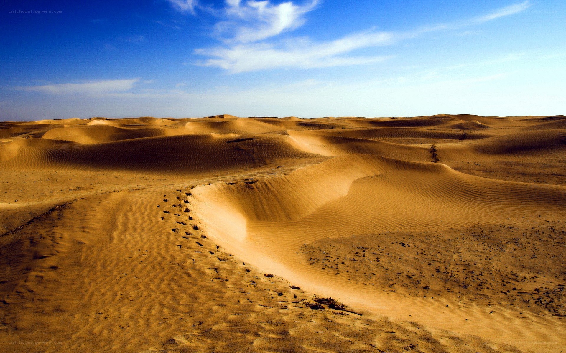 Desert sand dunes under blue sky