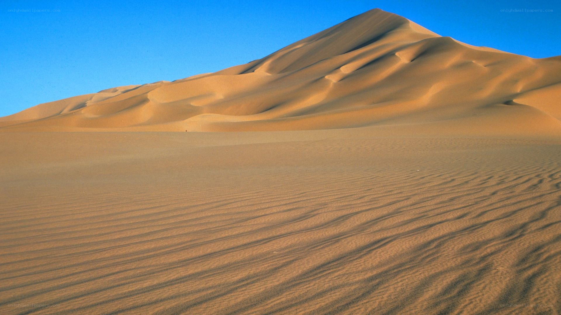 Desert sand dunes under blue sky