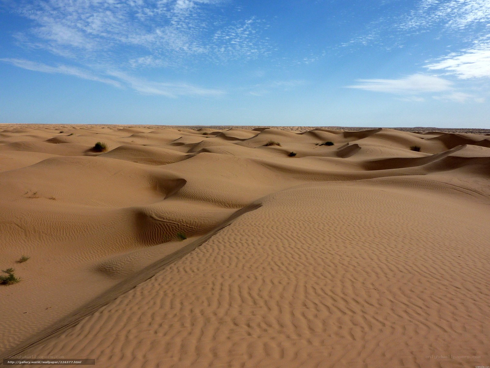 Desert sand dunes under blue sky