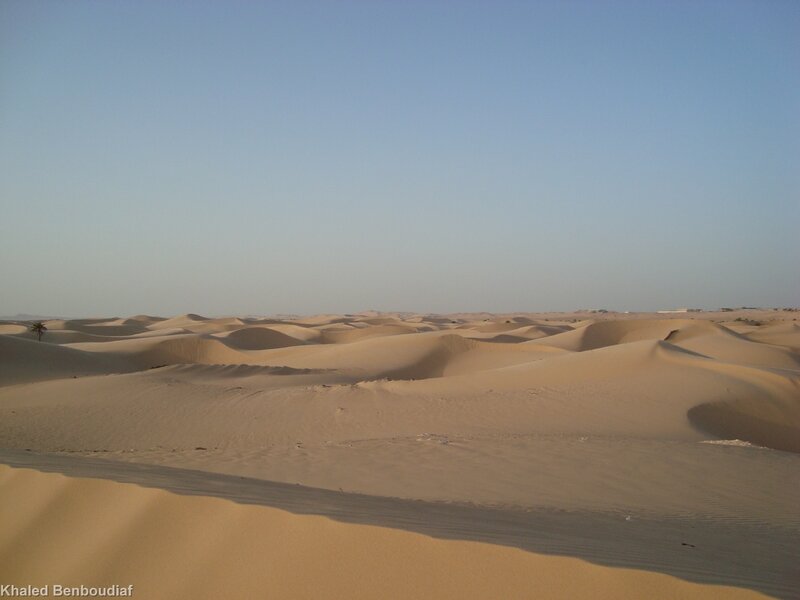 Desert sand dunes under clear sky