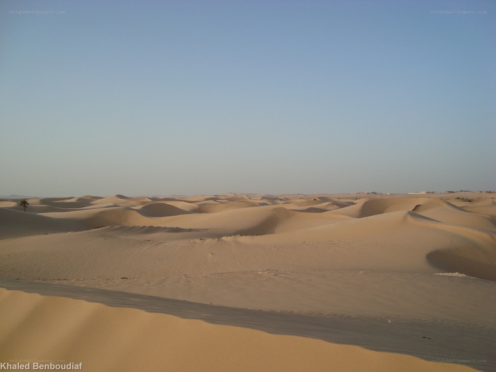 Desert sand dunes under clear sky